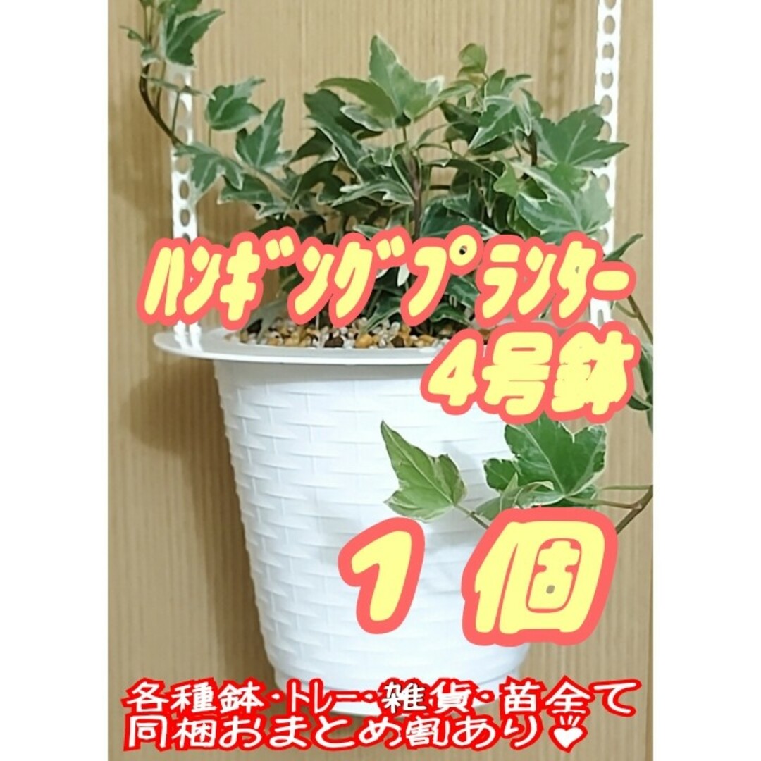 ハンギングプランター4号鉢【5T-4】1個 プラ鉢 吊鉢 多肉プレステラ観葉植物 ハンドメイドのフラワー/ガーデン(プランター)の商品写真