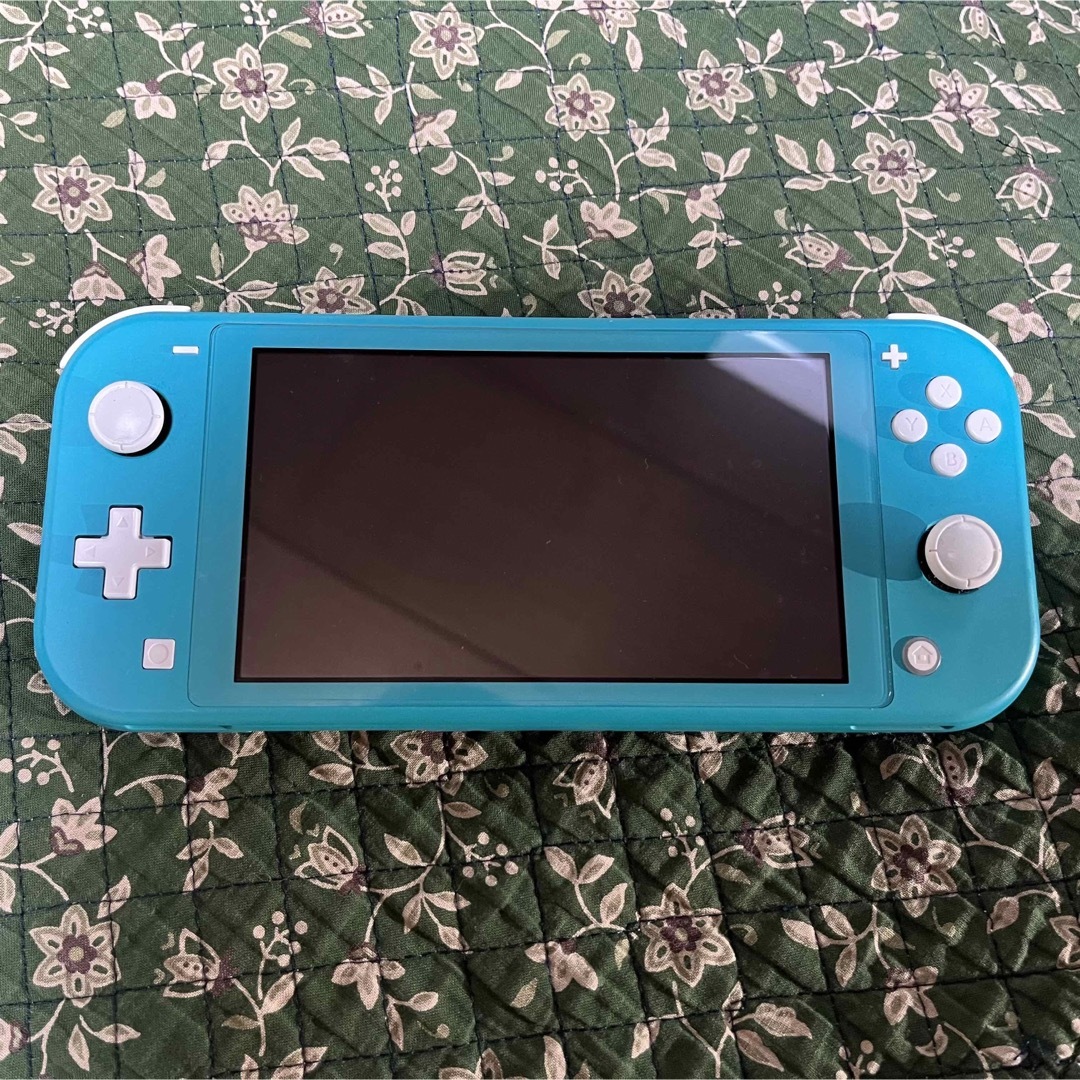 Nintendo Switch Lite ターコイズ　Switchケース