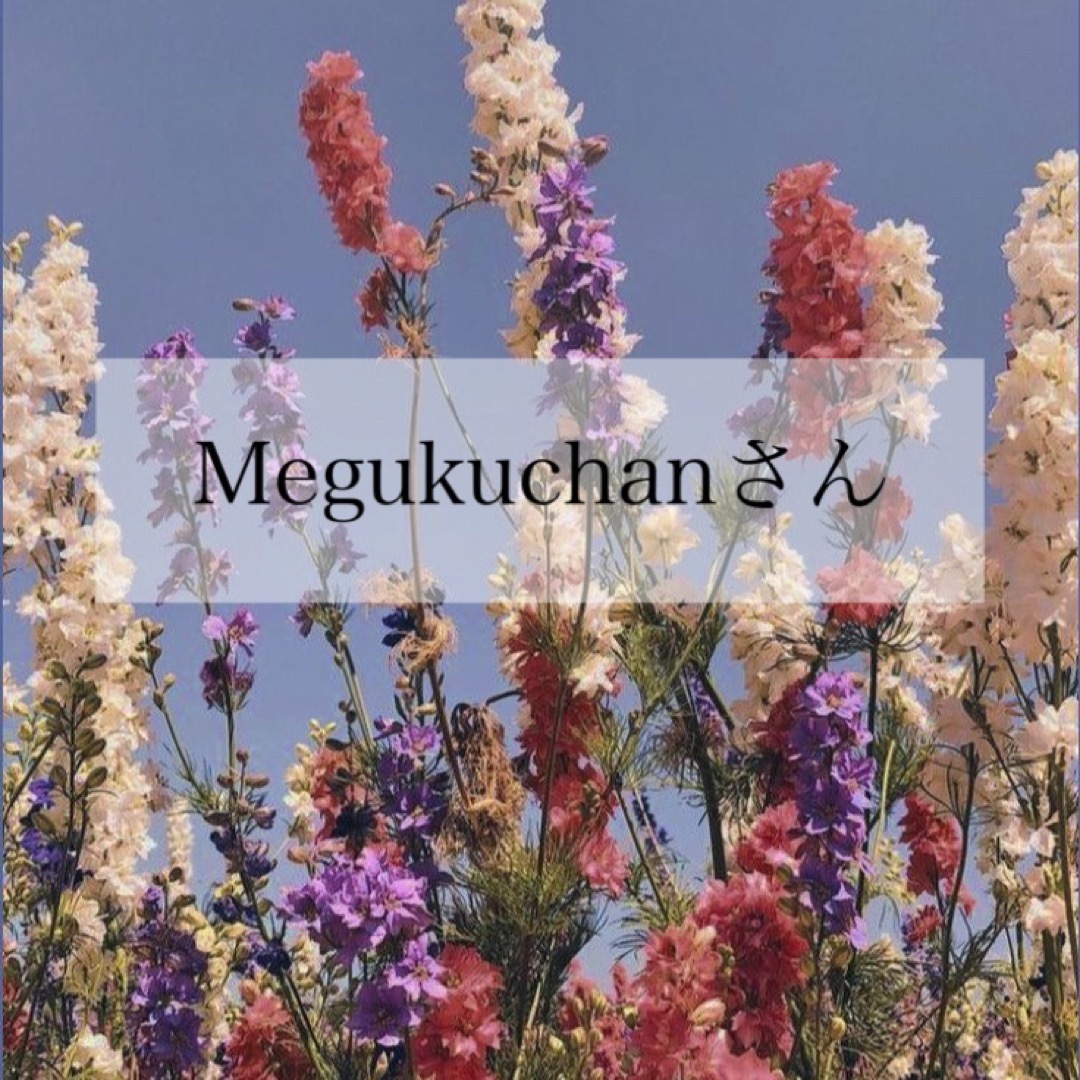 Megukuchanさん