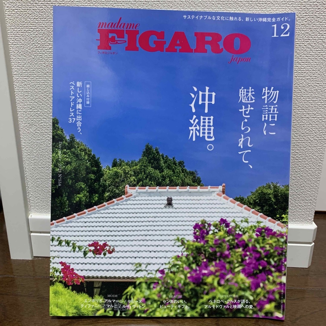 madame FIGARO japon (フィガロ ジャポン) 2022年 12 エンタメ/ホビーの雑誌(ファッション)の商品写真