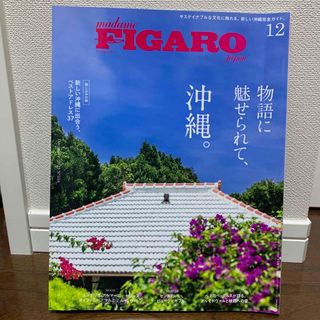 madame FIGARO japon (フィガロ ジャポン) 2022年 12(ファッション)