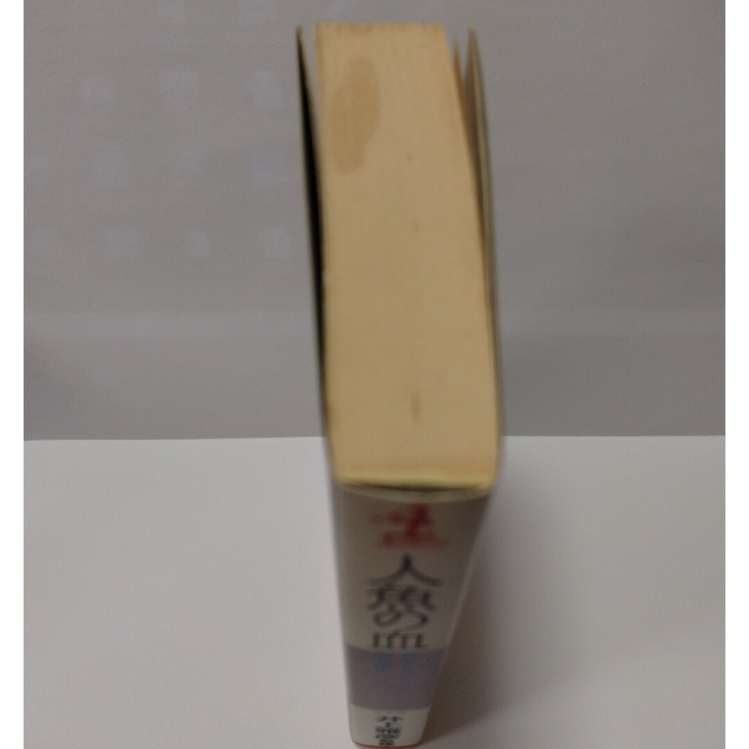 人魚の血　井上雅彦監修　KAPPA NOVELS エンタメ/ホビーの本(文学/小説)の商品写真