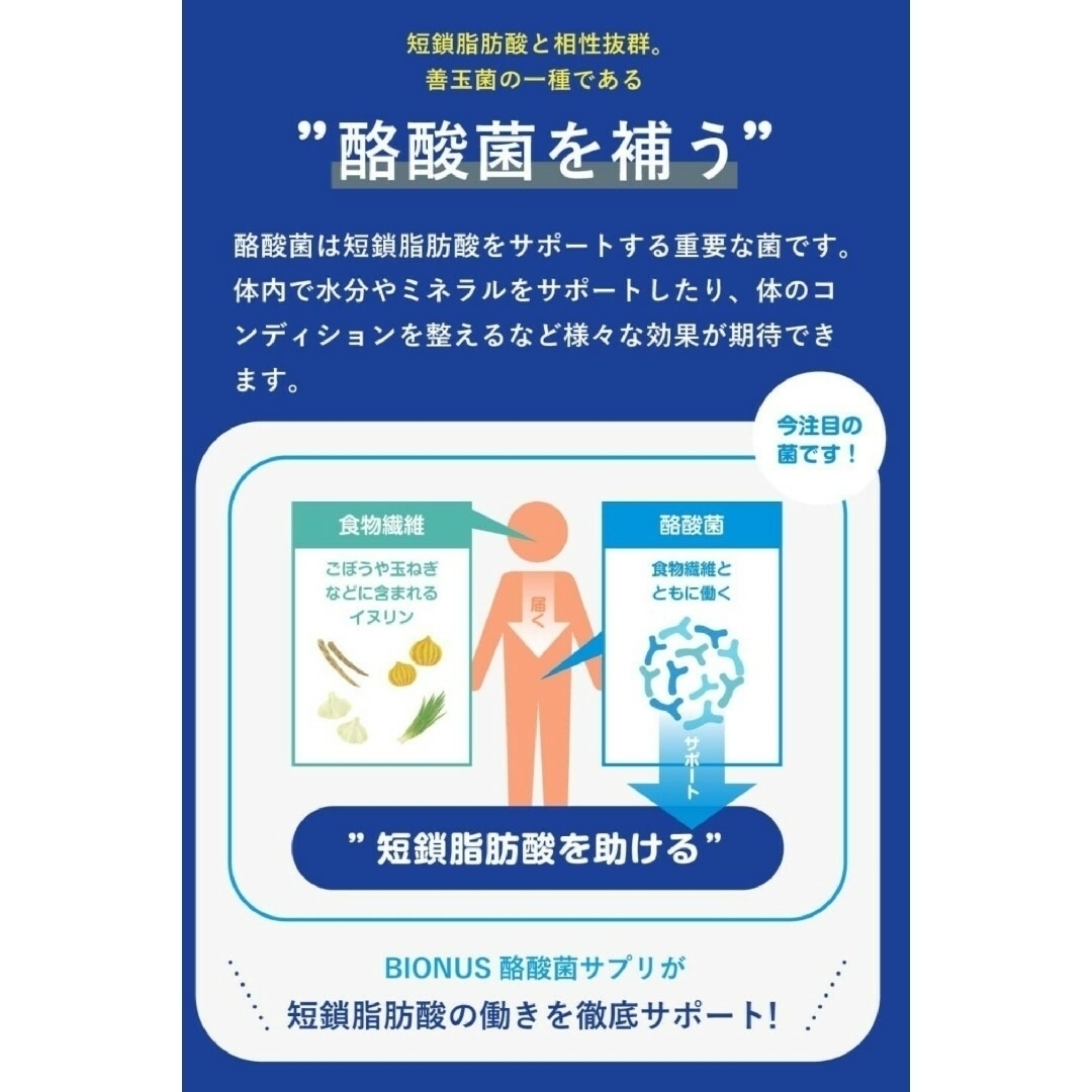 レバンテ(レバンテ)のビオナス BIONUS 酪酸菌 2袋 食品/飲料/酒の健康食品(その他)の商品写真