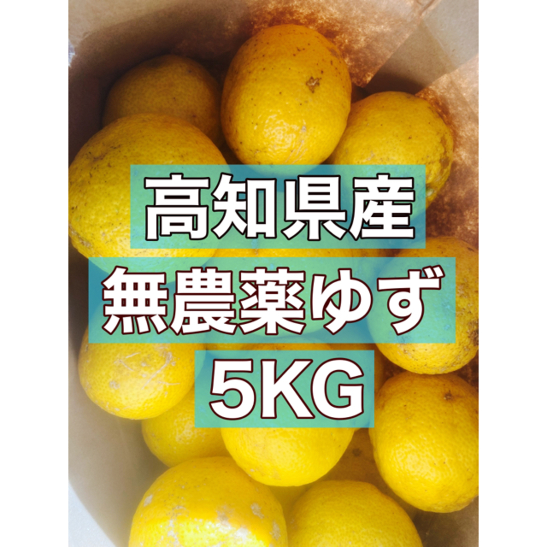 【予約受付中】高知県産　無農薬ゆず　5kg. 食品/飲料/酒の食品(フルーツ)の商品写真