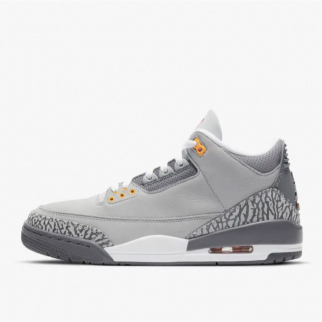 未使用に近い  Nike Air Jordan 3 "Cool Grey"