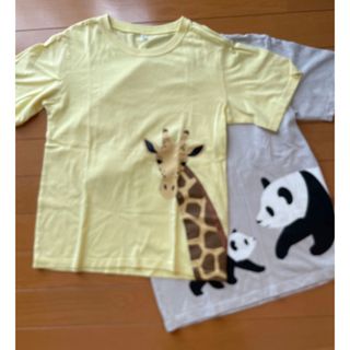 ムジルシリョウヒン(MUJI (無印良品))の無印良品Tシャツ2枚、Ikkaハーフパンツセット(Tシャツ/カットソー)