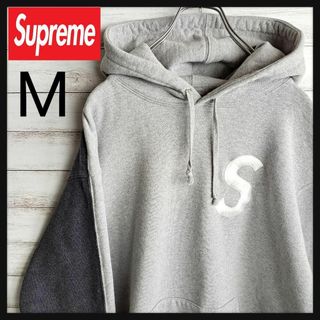 Supreme シュプリーム　肉厚　刺繍Sロゴ バイカラー パーカー