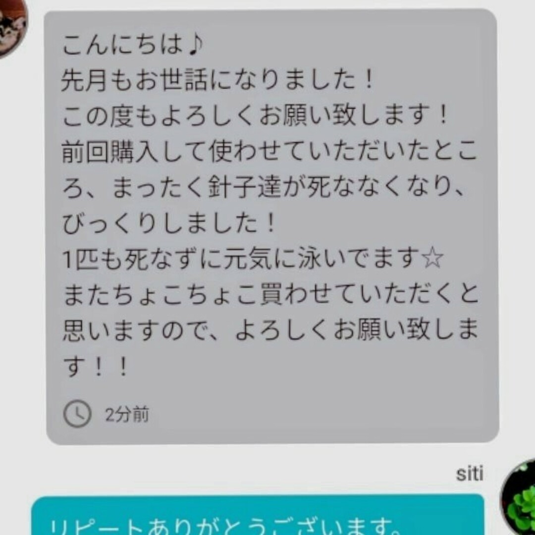 安心の国内産★SuperExcelent生クロレラ原液詰替用 その他のペット用品(アクアリウム)の商品写真