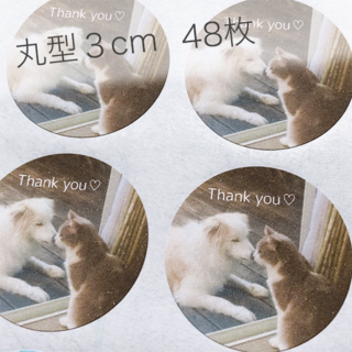 T-0217 わんちゃん猫ちゃん サンキューシール Thank you(しおり/ステッカー)