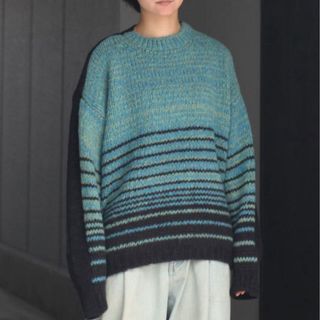 シュタイン(stein)のstein COLOR COMBINATION KNIT LS(ニット/セーター)