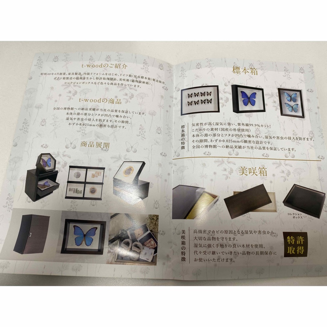 標本 その他のその他(その他)の商品写真