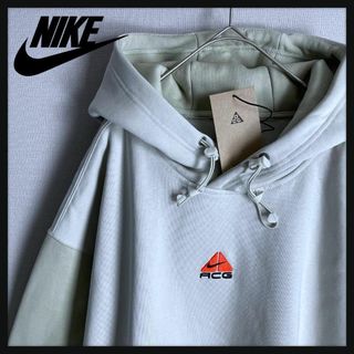 【超希少カラー】ナイキ　NIKE⭐️ACG刺繍ロゴ　パーカー　裏起毛　肉厚