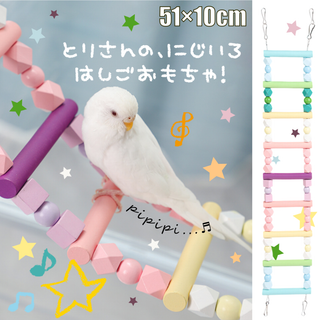 鳥さんの虹色はしごおもちゃ！　バードトイ　インコ　オウム　小動物可　止まり木(鳥)