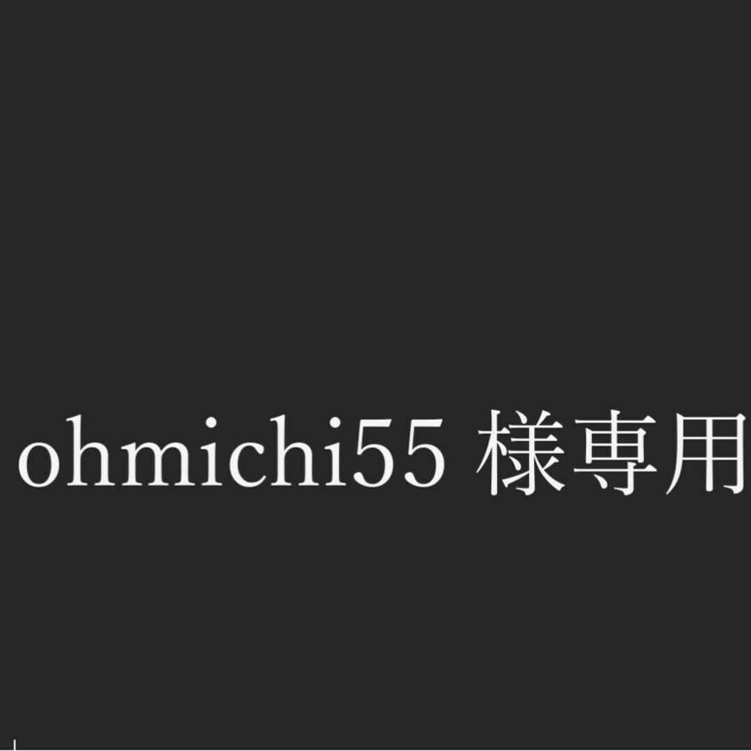 【ohmichi55様専用】東急株主優待乗車証 チケットの乗車券/交通券(鉄道乗車券)の商品写真