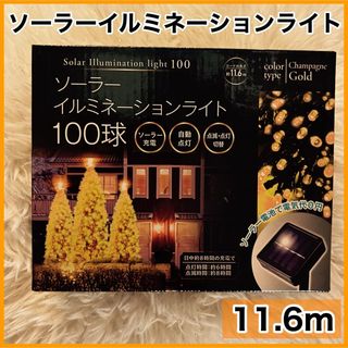 MOLDS TOKYO 限定ver 38灯 Dカン付属 MIYABIの通販 by とうふ's shop