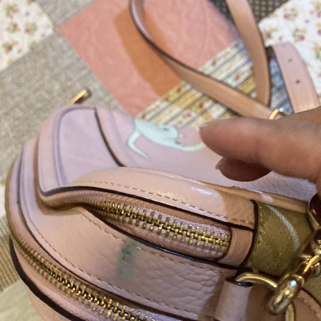 COACH(コーチ)のcoach 101匹わんちゃん　ショルダーバッグ メンズのバッグ(ショルダーバッグ)の商品写真