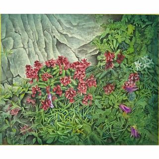 掛軸 若舟『山草図 タカネシオガマ』日本画手描き表装 絹本 箱付 a062811