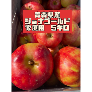 青森県産 りんご ジョナゴールド家庭用5キロ(フルーツ)