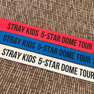 ストレイキッズ(Stray Kids)の【バラ売り可】stray kids スキズ 東京ドーム 銀テープ 3枚セット(アイドルグッズ)