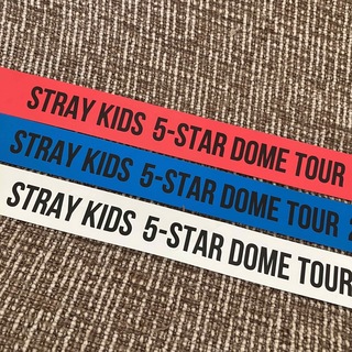 ストレイキッズ(Stray Kids)の【バラ売り可】stray kids スキズ 東京ドーム 銀テープ 3枚セット(アイドルグッズ)