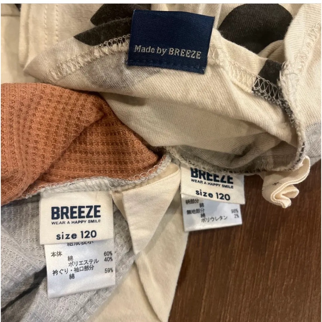 BREEZE(ブリーズ)のブリーズ　ロングTシャツ　120 2枚セット キッズ/ベビー/マタニティのキッズ服女の子用(90cm~)(Tシャツ/カットソー)の商品写真