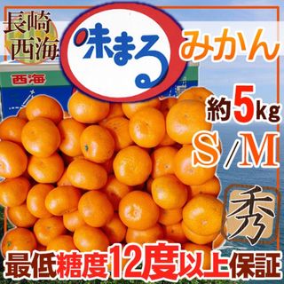 長崎県産　味まるみかん　S〜Mサイズ　約5キロ 赤秀(フルーツ)