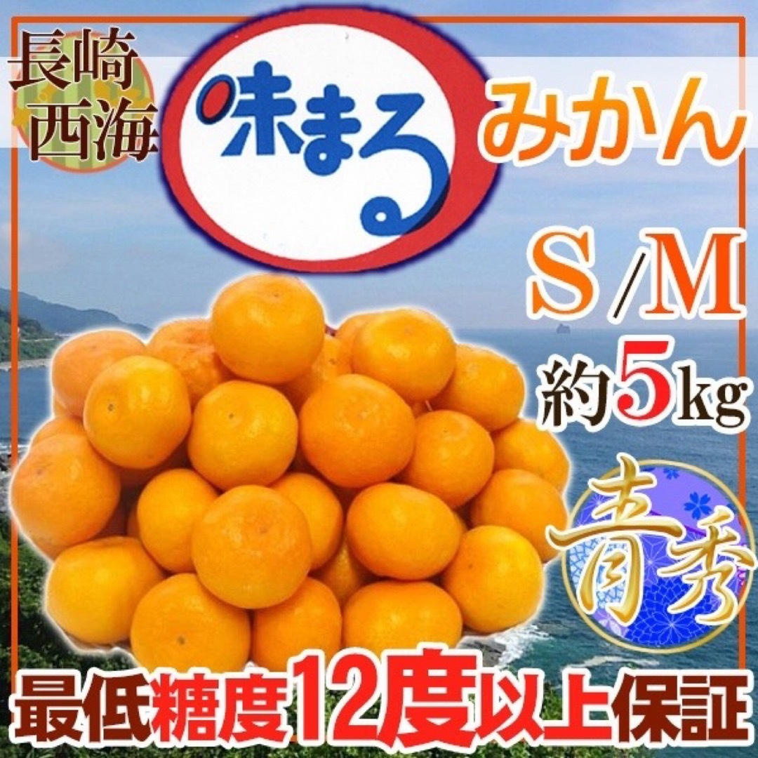 長崎県産　味まるみかん　S〜Mサイズ　約5キロ 青秀 食品/飲料/酒の食品(フルーツ)の商品写真