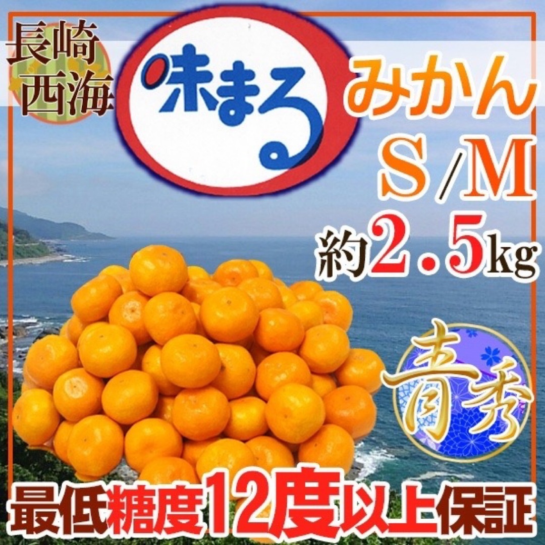 長崎県産　味まるみかん　S〜Mサイズ　約2.5キロ 青秀 食品/飲料/酒の食品(フルーツ)の商品写真