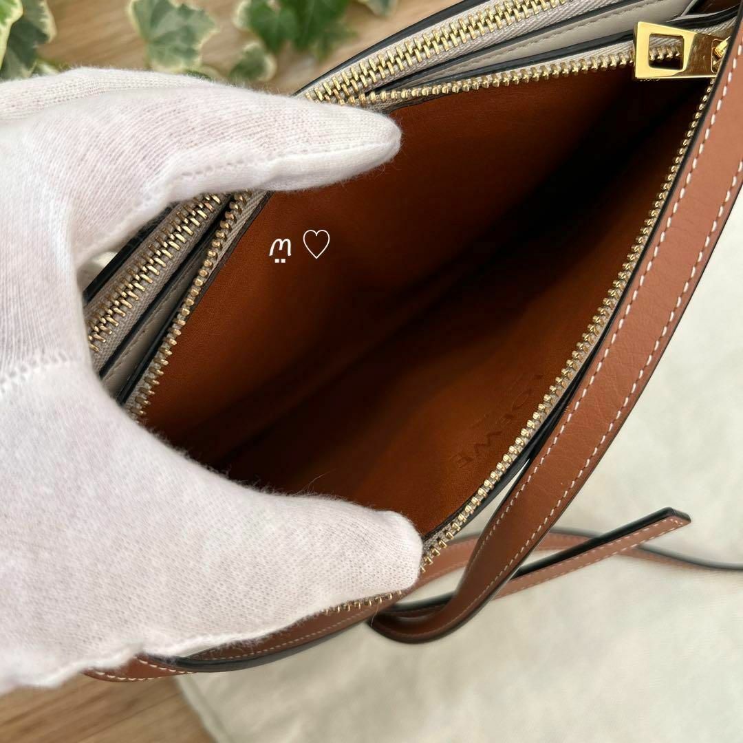 LOEWE ロエベ ゲートダブルジップポーチ ショルダーバッグ斜めがけポシェット