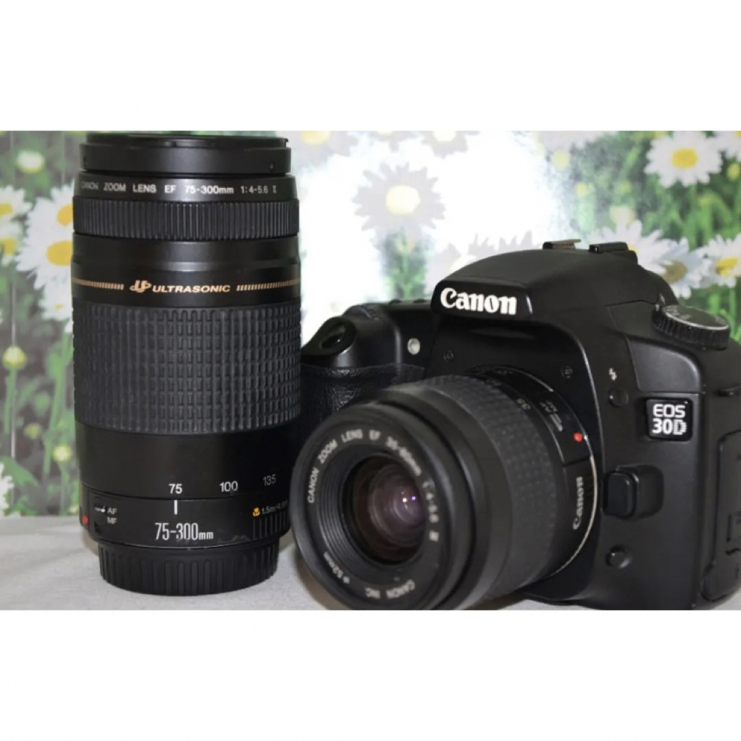 Canon EOS-30Dシグマ28-80mmレンズ付き