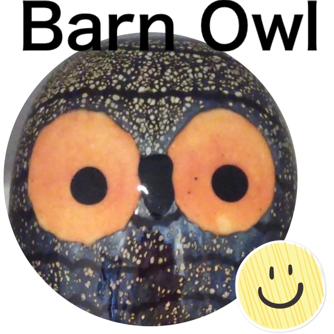 iittala(イッタラ)のiittala 🦉Barn Owl    廃盤カラー　 親フクロウ インテリア/住まい/日用品のインテリア小物(置物)の商品写真