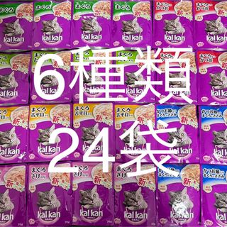 マース(MARS)のカルカン　パウチ　6種類　計24袋(ペットフード)