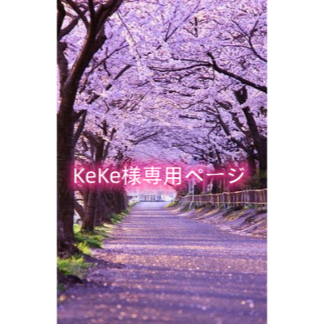 KeKe樣専用ページの通販 by Estelle 's shop|ラクマ