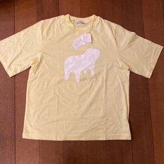 ミナペルホネン(mina perhonen)の専用です。未使用　ミナペルホネン　Tシャツ　38(Tシャツ(半袖/袖なし))