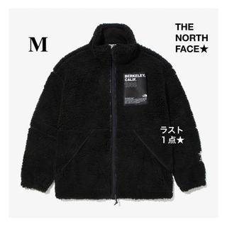 ザノースフェイス(THE NORTH FACE)のノースフェイス ライマン フリース 黒 リモ リモフリース アウター ボア(ブルゾン)