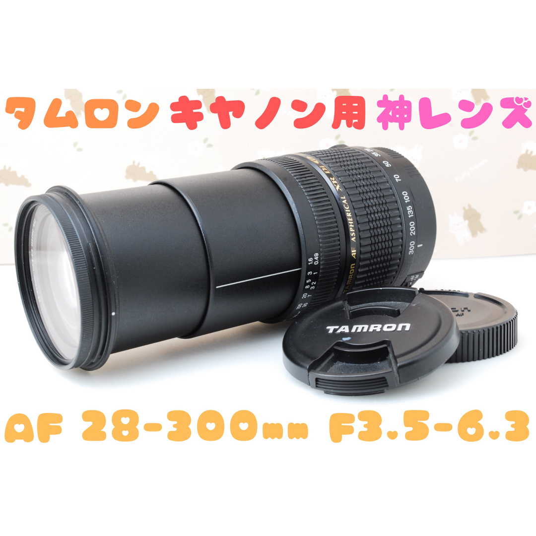 ★広角から望遠まで１本でカバー★AF 28-300mm A061 キャノン用