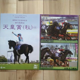 競馬 JRA　天皇賞　日曜版　レーシングプログラム2冊(趣味/スポーツ/実用)