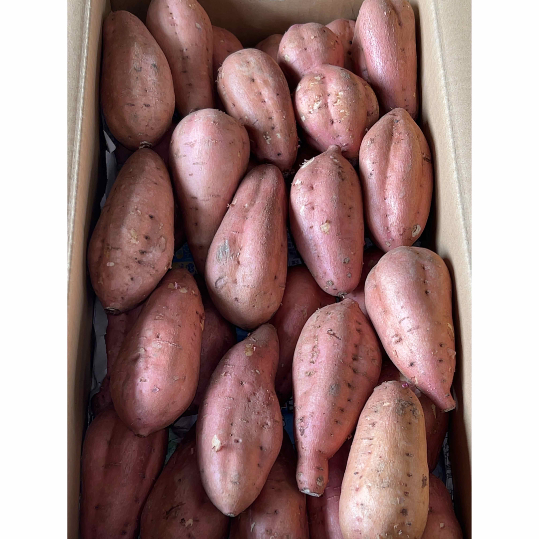 鹿児島県産　新芋安納芋　箱込約5キロ 食品/飲料/酒の食品(野菜)の商品写真