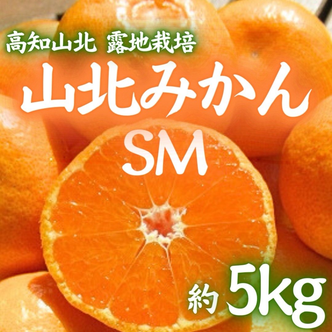 11高知県産 早生 極早生 山北みかん 5kg みかん SM 食品/飲料/酒の食品(フルーツ)の商品写真