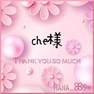 ✼che様専用✼❷点✼(チュニック)