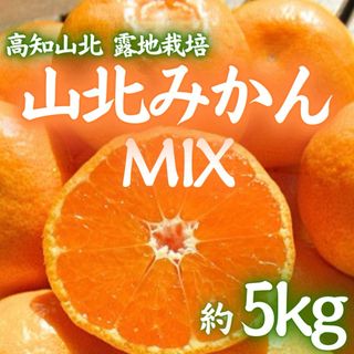 9高知県産 早生 極早生 山北みかん 5kg みかん MIX(フルーツ)