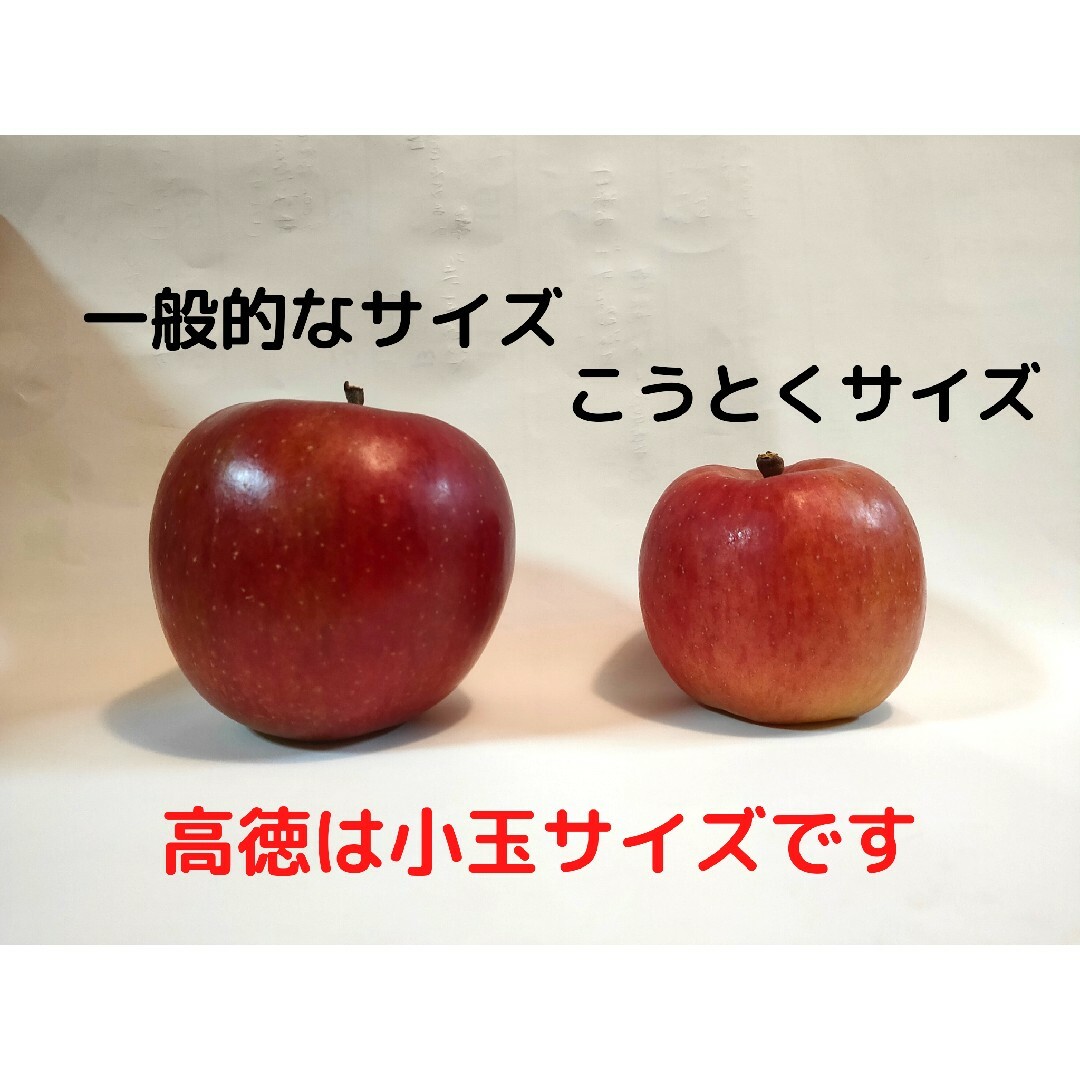 【山形県朝日町産】品種:蜜入りりんご　高徳(訳あり品)極小15玉 食品/飲料/酒の食品(フルーツ)の商品写真