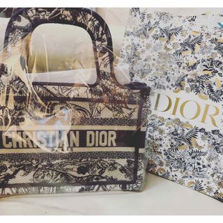 クリスチャンディオール(Christian Dior)のDiorバッグ(ハンドバッグ)