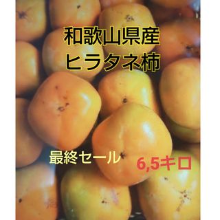 和歌山県産ヒラタネ柿(フルーツ)