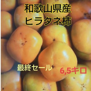 和歌山県産ヒラタネ柿(フルーツ)