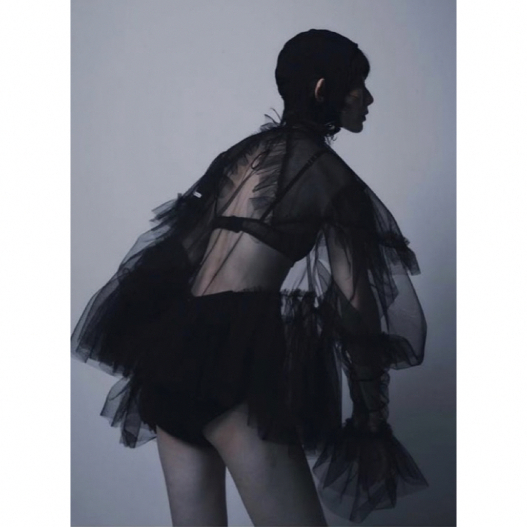 noir kei ninomiya - litmus Tulle blouse チュールブラウス noir kei ninomiya - litmus Tulle blouse チュールブラウス