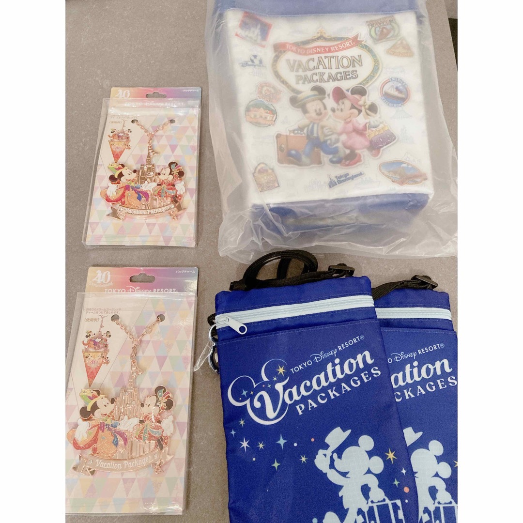 Disney - 【新品】ディズニーリゾート　40周年　バックチャーム他　バケーションパッケージ