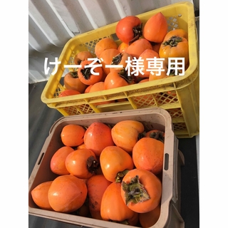 甲州百目柿(干し柿用)10キロ(フルーツ)