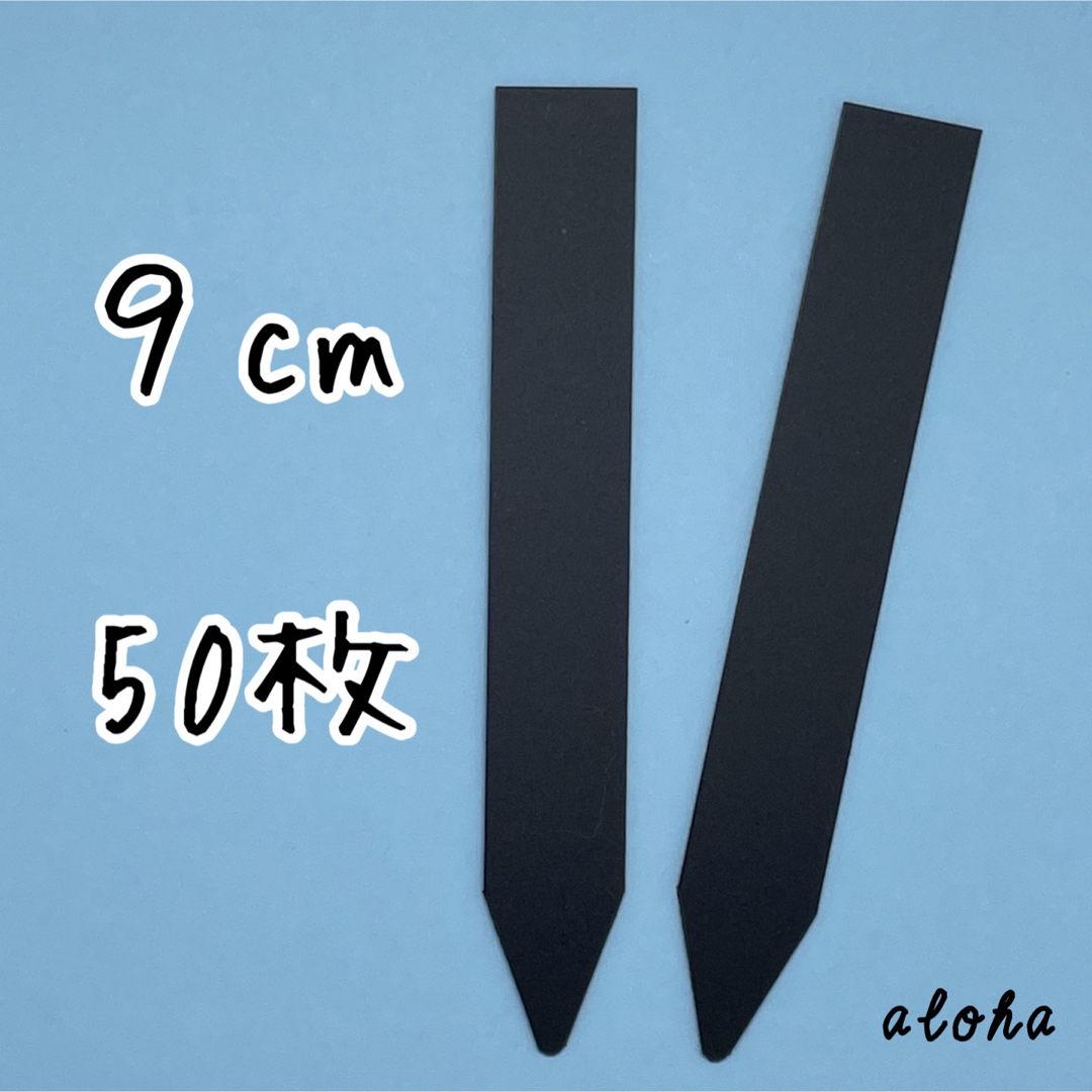 ブラック　50枚 多肉植物 アガベ サボテンに◎ 園芸用 ラベル ネームラベル ハンドメイドのフラワー/ガーデン(その他)の商品写真