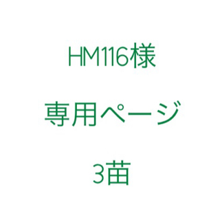 HM116様専用　レッドシャンパン3苗セット(その他)